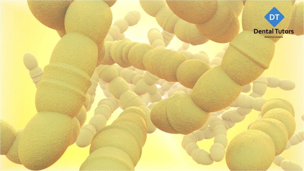 CPD Microbiology Dental Tutors Dental Nursing College NEBDN cpd-microbiology-dental-tutors-dental-nursing-college-nebdn