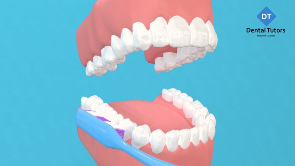 Oral Health Education Course Information NEBDN Oral Health Education